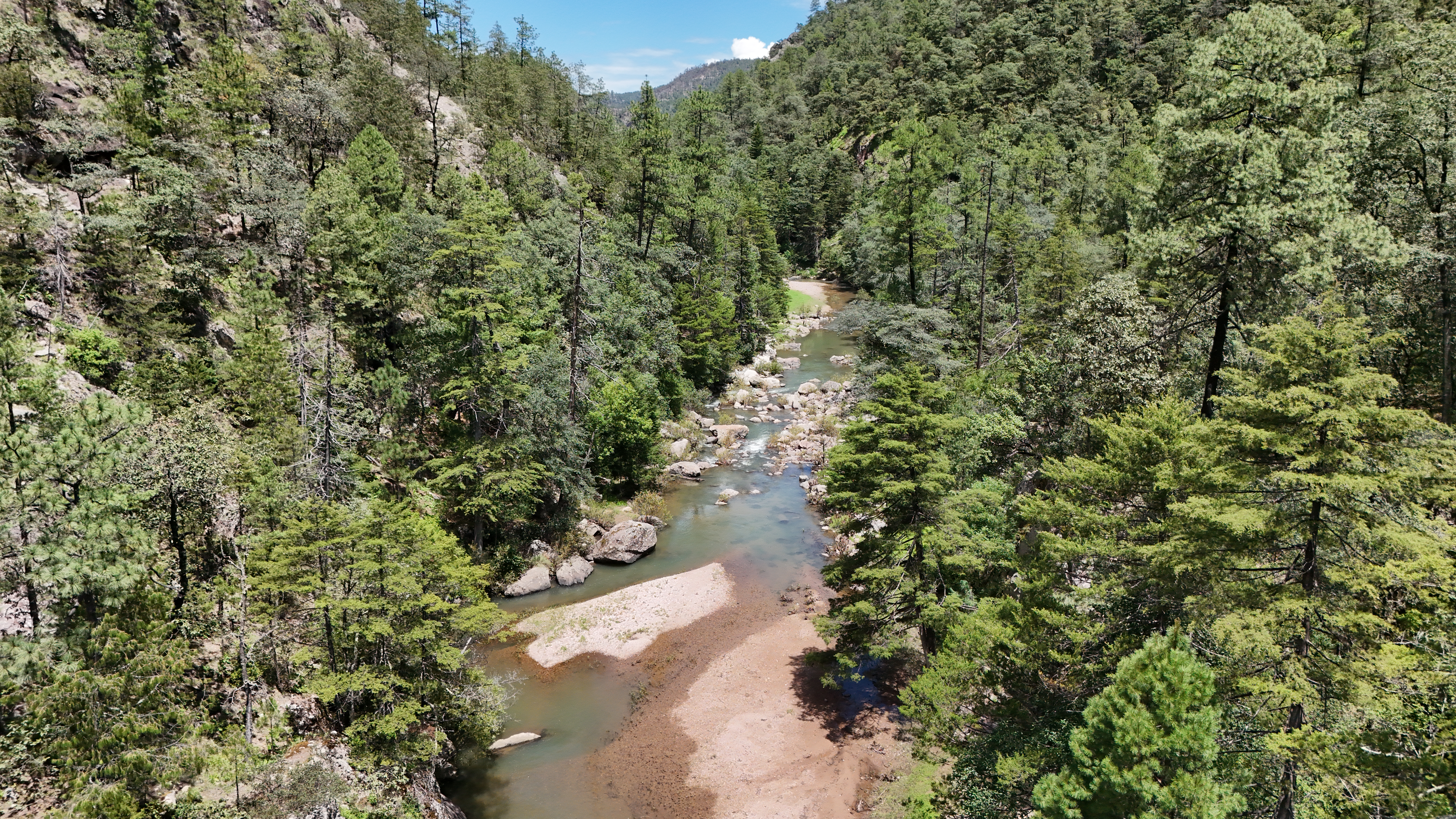 UCDFI Topia / Juan Corral