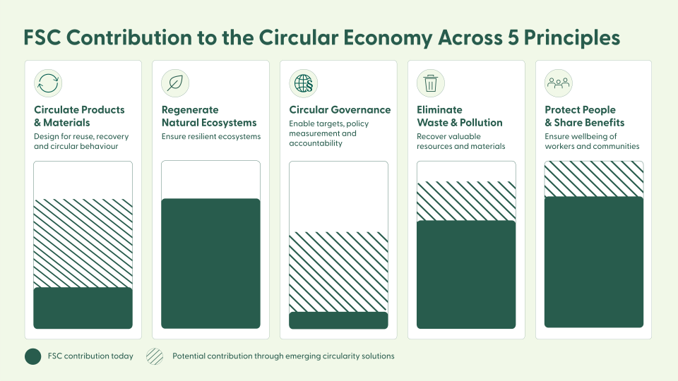 FSC Today – and the Gaps